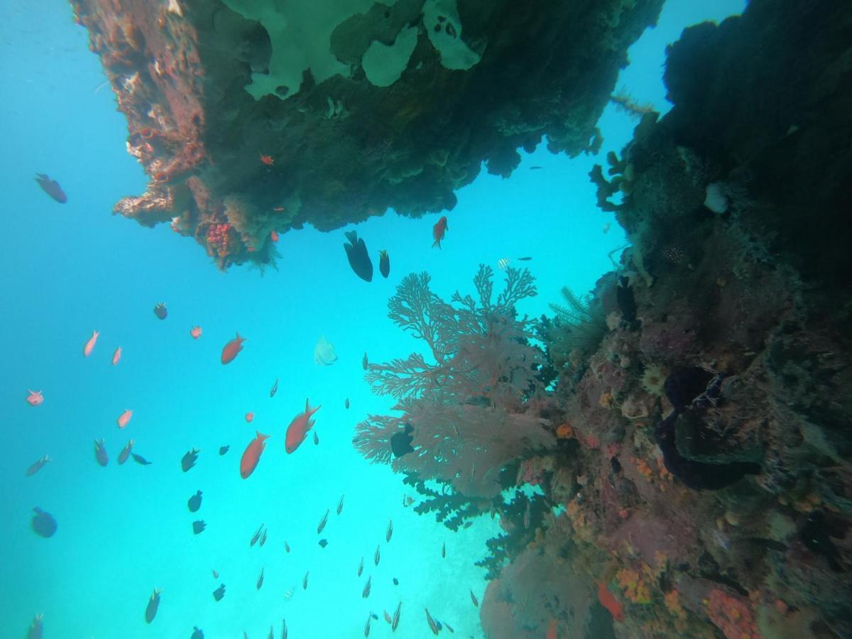 Meos Ambower Homestay Raja Ampat Fam Exteriör bild