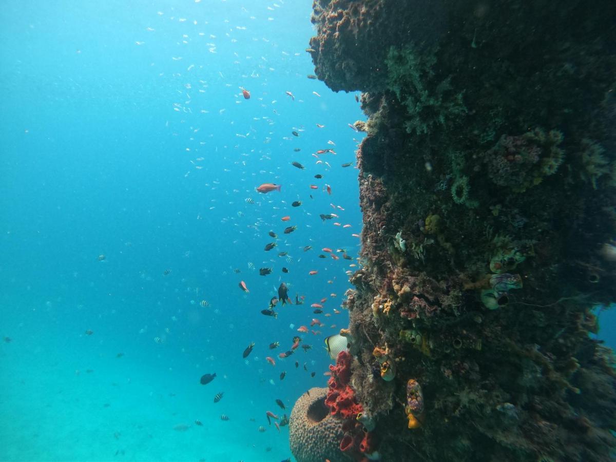 Meos Ambower Homestay Raja Ampat Fam Exteriör bild