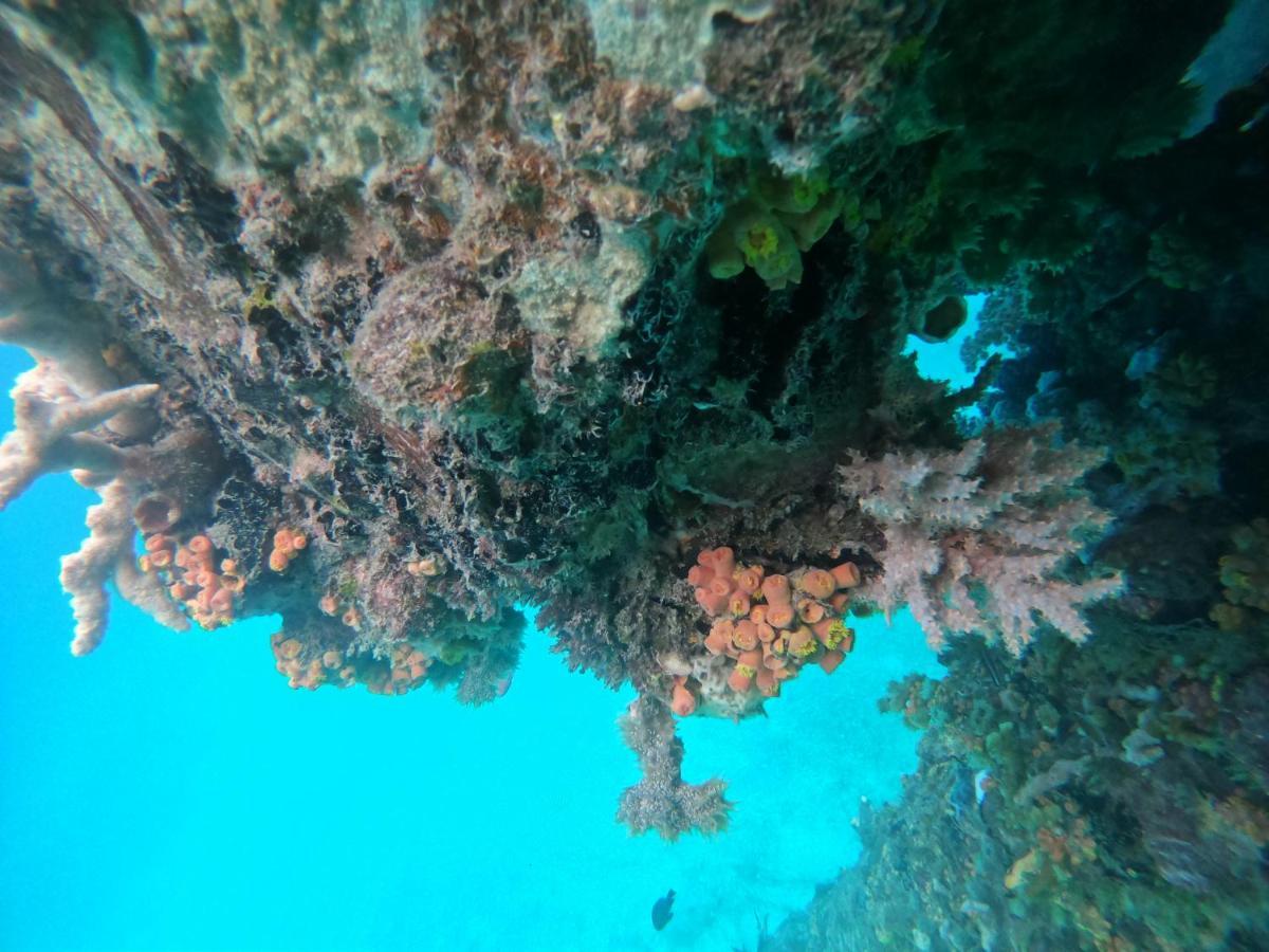 Meos Ambower Homestay Raja Ampat Fam Exteriör bild