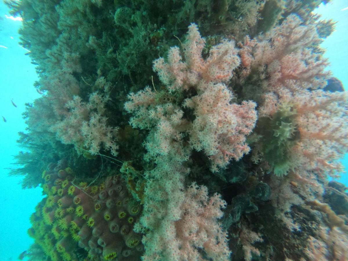 Meos Ambower Homestay Raja Ampat Fam Exteriör bild