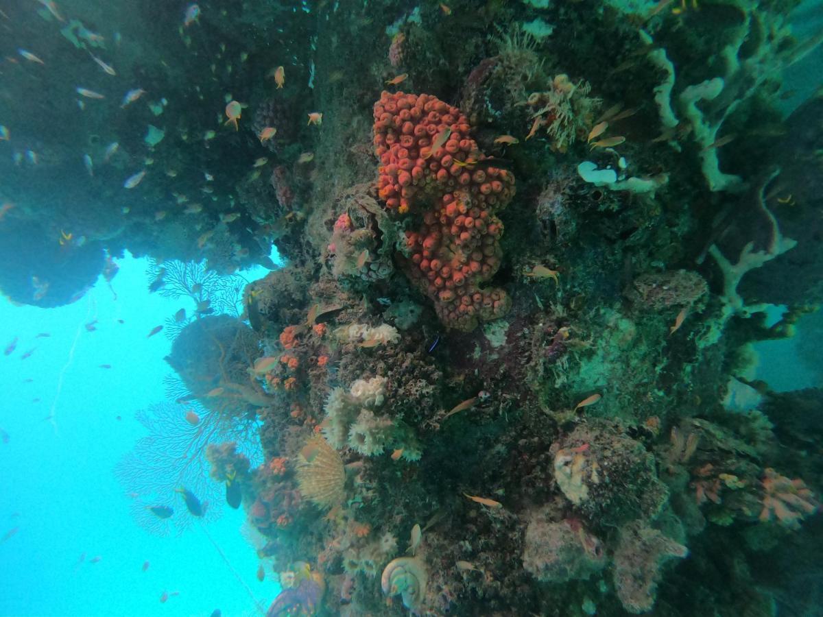Meos Ambower Homestay Raja Ampat Fam Exteriör bild