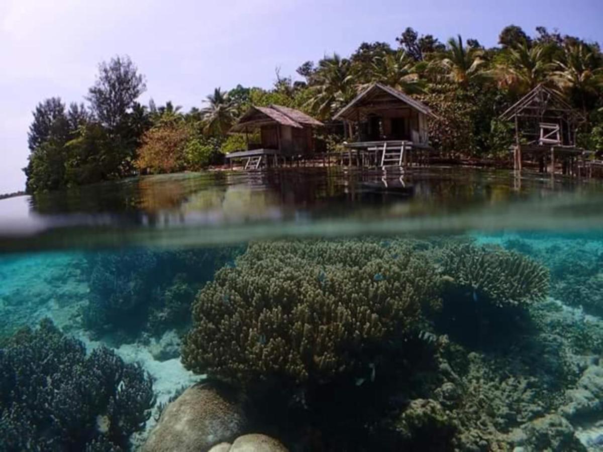 Meos Ambower Homestay Raja Ampat Fam Exteriör bild